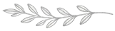 Domovská stránka Ornament