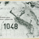 Galéria Fotografií a videí – Sakrakopec